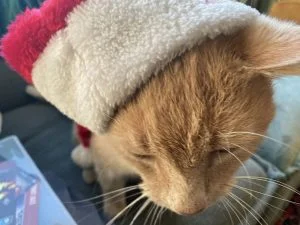 ziek met Kerst_persoonlijk_diary_mamablogger_Kerst_