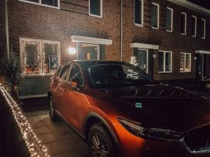 diary_beugel_persoonlijk_mamablogger_cursus_Sinterklaas_