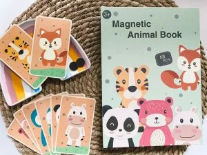 magnetisch_boek_budgettip_Zeeman_speelgoed_mamablogger_