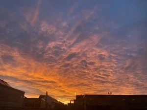 diary_persoonlijk_mamablogger_eerste week_januari_2022_