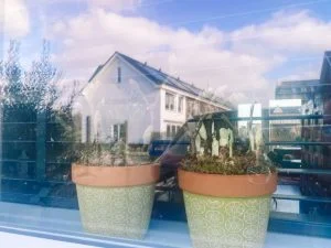 diary_persoonlijk_coronagedoe_lunch_jarig_