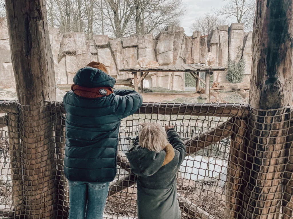 diary_persoonlijk_dierentuin_school_mamablogger_