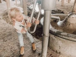 diary_persoonlijk_dierentuin_school_mamablogger_