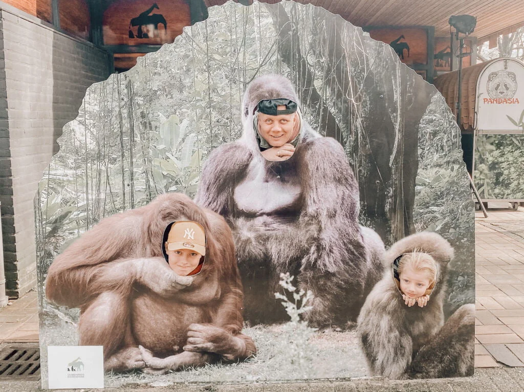 diary_persoonlijk_dierentuin_school_mamablogger_