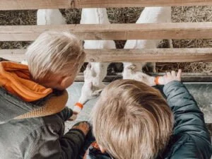 diary_persoonlijk_mamablogger_auto's_garage_gesprek_school_