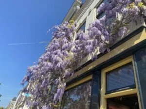 Koningsdag_koningsnacht_beekse bergen_pannenkoeken_diary_persoonlijk_
