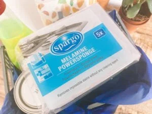 Product van Jaar_Action_Budget Moeders_Mamablogger_