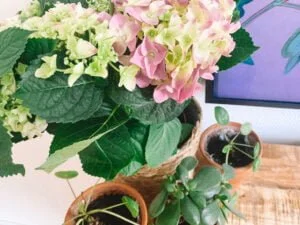 Unboxing_XXL_moederdag blogbox_mamablogger_
