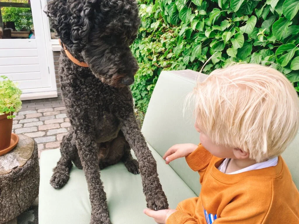 Diary_Moederdag_paar dagen vrij_persoonlijk_mamablogger_