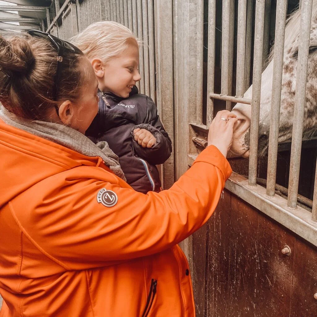 Koningsdag_koningsnacht_beekse bergen_pannenkoeken_diary_persoonlijk_