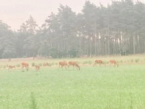 verslag_weekend weg_samen_cantharel_apeldoorn_trouwdag_mamablogger_review_