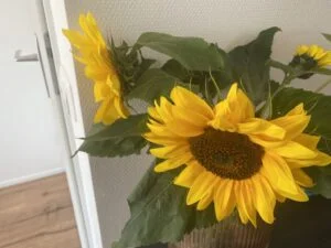 eerste week_zomervakantie_2022_mamablogger_diary_persoonlijk_