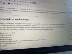 diary_persoonlijk_teamuitje_zomervakantie_Day One_Toverland_