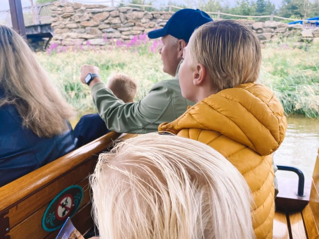 Toverland_review_dagje weg_mamablogger_attractiepark_Sevenum_