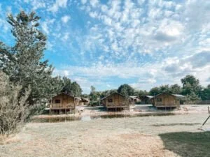 vakantiepark_Sallandshoeve_safaritent_mamablogger_review_blog_glamping_