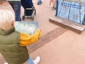 Toverland_review_dagje weg_mamablogger_attractiepark_Sevenum_