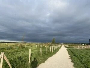 eerste schoolweek_dairy_persoonlijk_mamablogger_