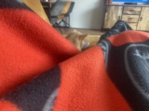 mamablogger_diary_persoonlijk_bioscoop_helpen school_Streamers_