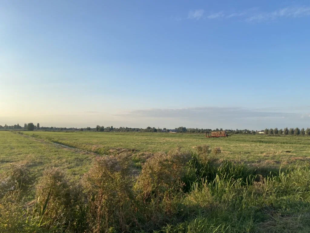 diary_volle woensdag_afspraken_weekend_persoonlijk_mamablogger_
