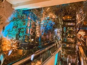 Kerstshow_Intratuin Duiven_Christmas Countdown 2022_mamablogger_Kerst_