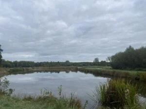 diary_persoonlijk_mamablogger_vrije dag_Intratuin Duiven_