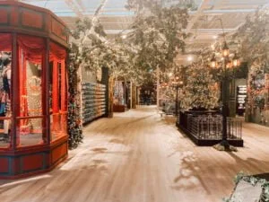 Kerstshow_Intratuin Duiven_Christmas Countdown 2022_mamablogger_Kerst_