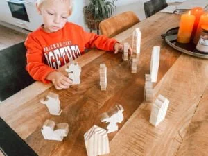 Budget_Aftellen naar Sinterklaas_2022_Xenos_Action_huisjes_Sinterklaaspoppetjes_mamablogger_