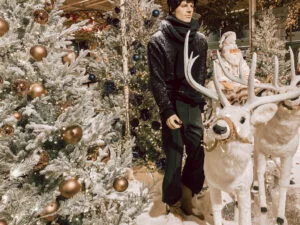 Kerstshow_Intratuin Duiven_Christmas Countdown 2022_mamablogger_Kerst_