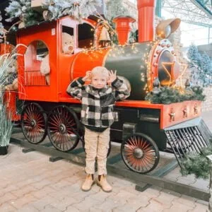 diary_persoonlijk_mamablogger_vrije dag_Intratuin Duiven_