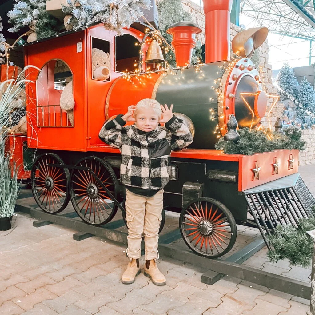 diary_persoonlijk_mamablogger_vrije dag_Intratuin Duiven_