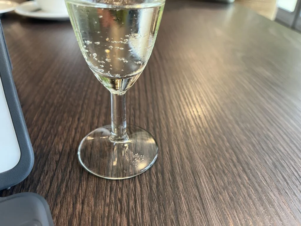 Diary_persoonlijk_eerste kinderfeestje_weekoverzicht_gezin_mamablogger