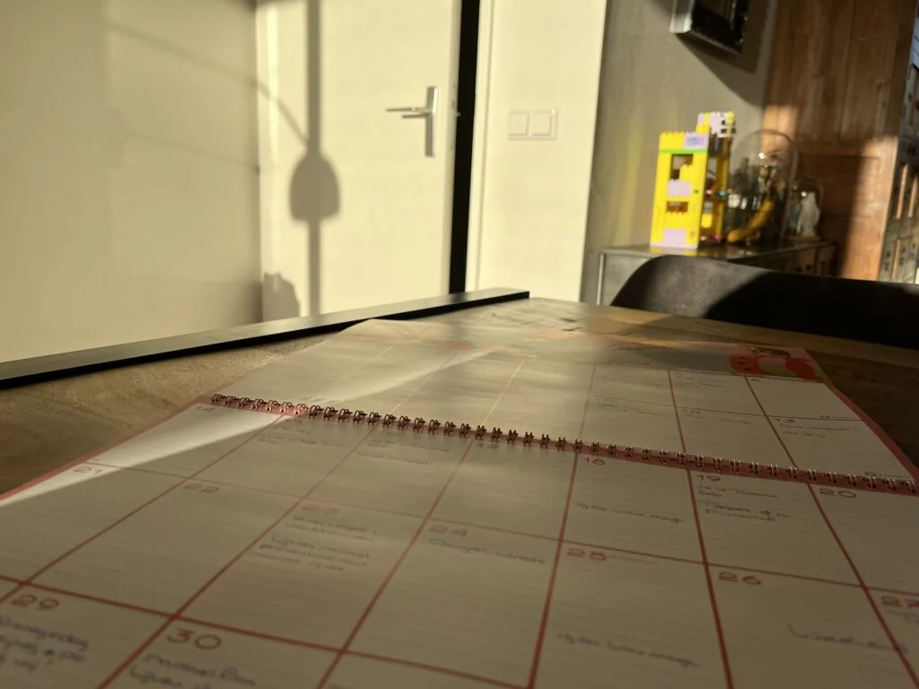 Diary_persoonlijk_eerste kinderfeestje_weekoverzicht_gezin_mamablogger