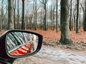 fotoverslag_kerstdagen_2022_Kerst_Cantharel_mamablogger_
