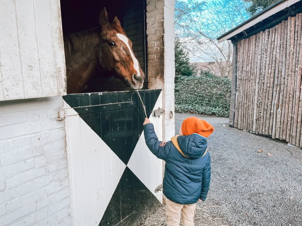 fotoverslag_kerstdagen_2022_Kerst_Cantharel_mamablogger_