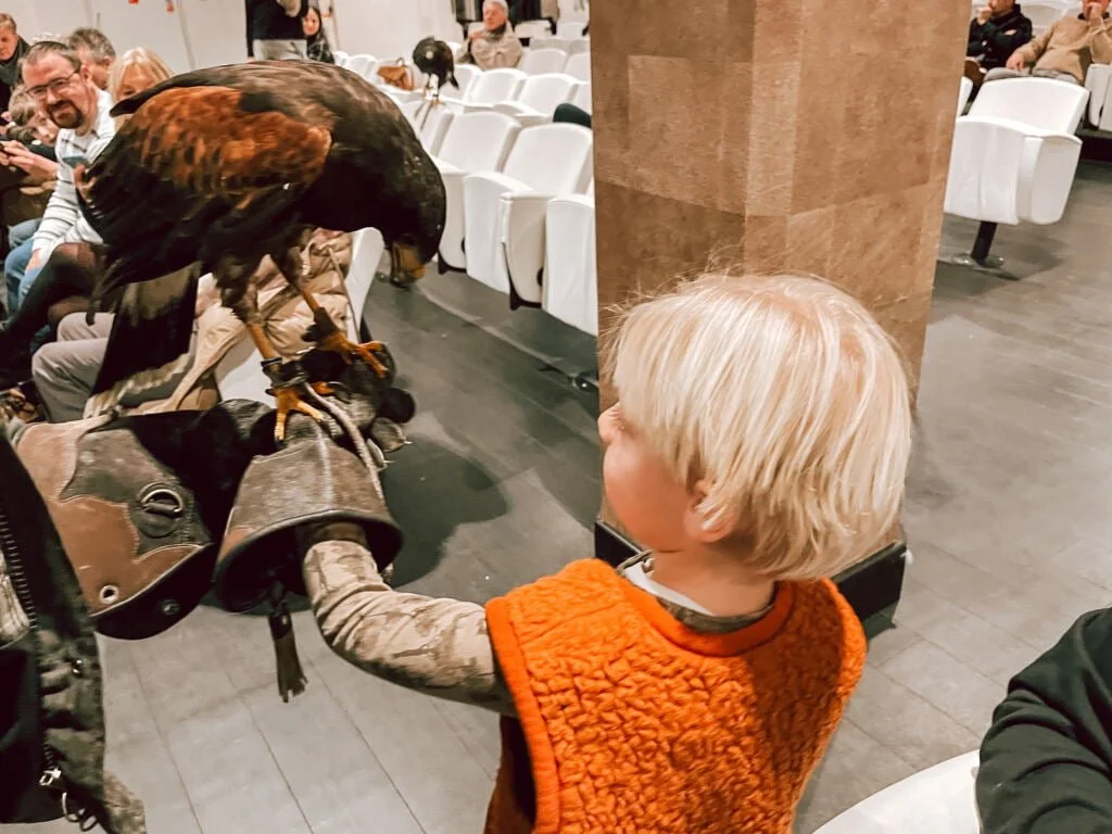 fotoverslag_kerstdagen_2022_Kerst_Cantharel_mamablogger_
