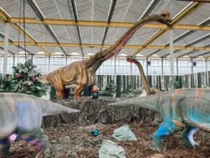 budget uitjes_kerstvakantie 2022_mamablogger_budget_uitstapjes_