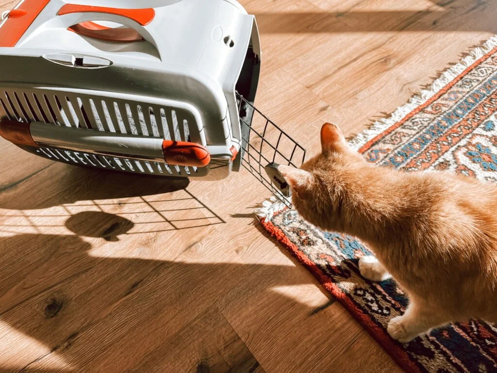 diary_persoonlijk_mamablogger_dierenarts_Bobby_zon_