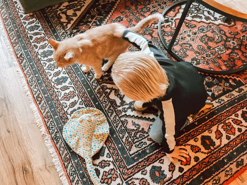 diary_mamablogger_persoonlijk_feest_school_definitief advies_