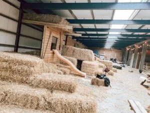 De Koeienstal_Zevenhuizen_budget uitje_mamablogger_tip_boerderij_