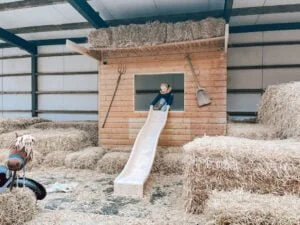 De Koeienstal_Zevenhuizen_budget uitje_mamablogger_tip_boerderij_