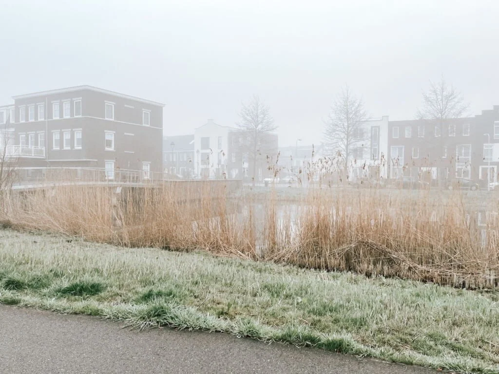 diary_persoonlijk_Pasen_carspotten_uit eten_leren fietsen_