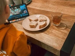 diary_persoonlijk_schade_auto_blaasontsteking_Koningsdag_Efteling_
