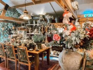 diary_persoonlijk_schade_auto_blaasontsteking_Koningsdag_Efteling_