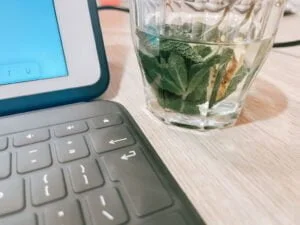 diary_persoonlijk_Pasen_carspotten_uit eten_leren fietsen_