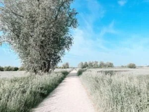 diary_auto_kapot_thuiswerken_persoonlijk_mamablogger_