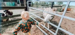 mamablogger_persoonlijk_Feyenoord_schoolreis_weekend_Hemelvaart_