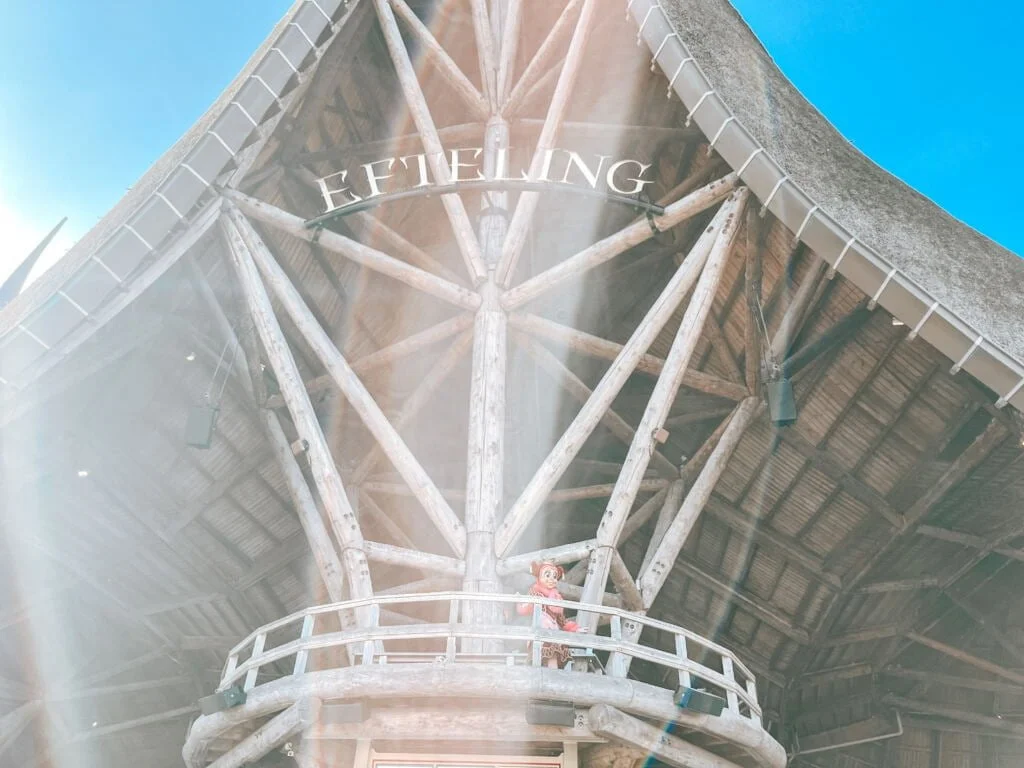 diary_persoonlijk_Efteling_mamablogger_blaasontsteking_schade_