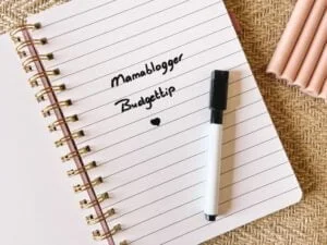Uitwisbaar_notitieboek_Action_Budgettip_bedankje juf_duurzaam_