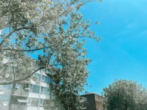 diary_persoonlijk_ogentest_vaderdag_middelbare_mamablogger_