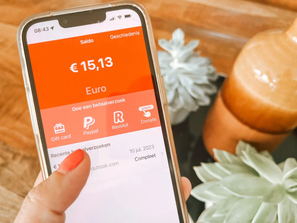 enquetes_invullen_geld verdienen_sidehustles_mamablogger_geld_budget